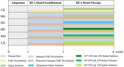 Lactobacillus paracasei 259 alleviates hyperuricemia in rats by decreasing uric acid and modulating the gut microbiota